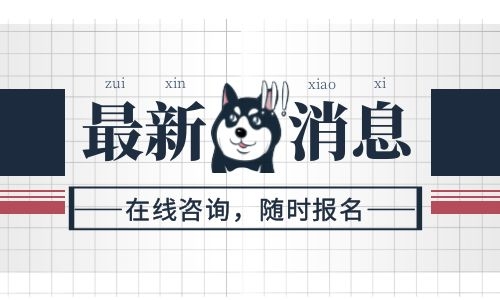 考挖掘機證可以干什么?就業前景怎么樣
